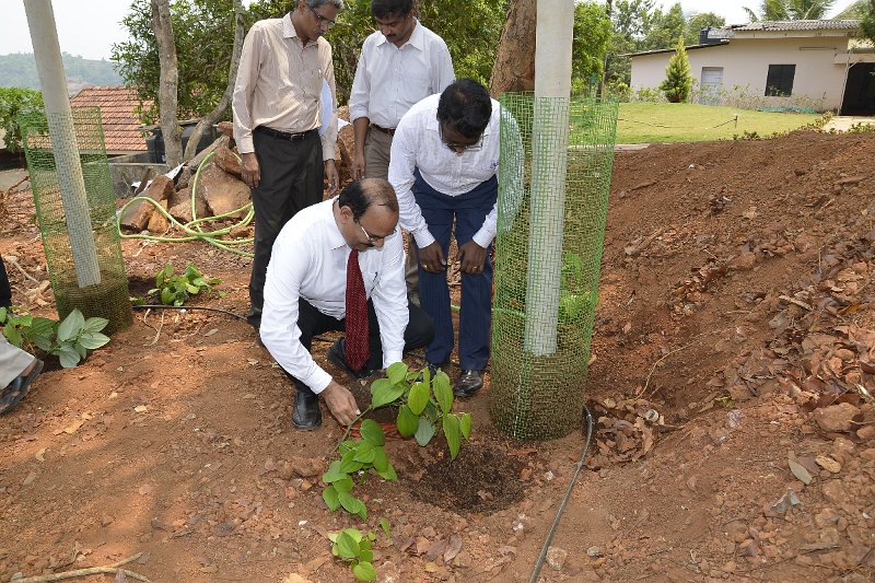 03Apr2014_00040 (120).JPG